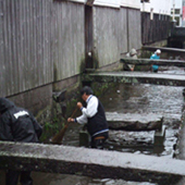 倉吉打吹玉川周辺の清掃活動