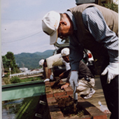 倉吉打吹玉川周辺の清掃活動