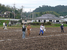 菜の花プロジェクト